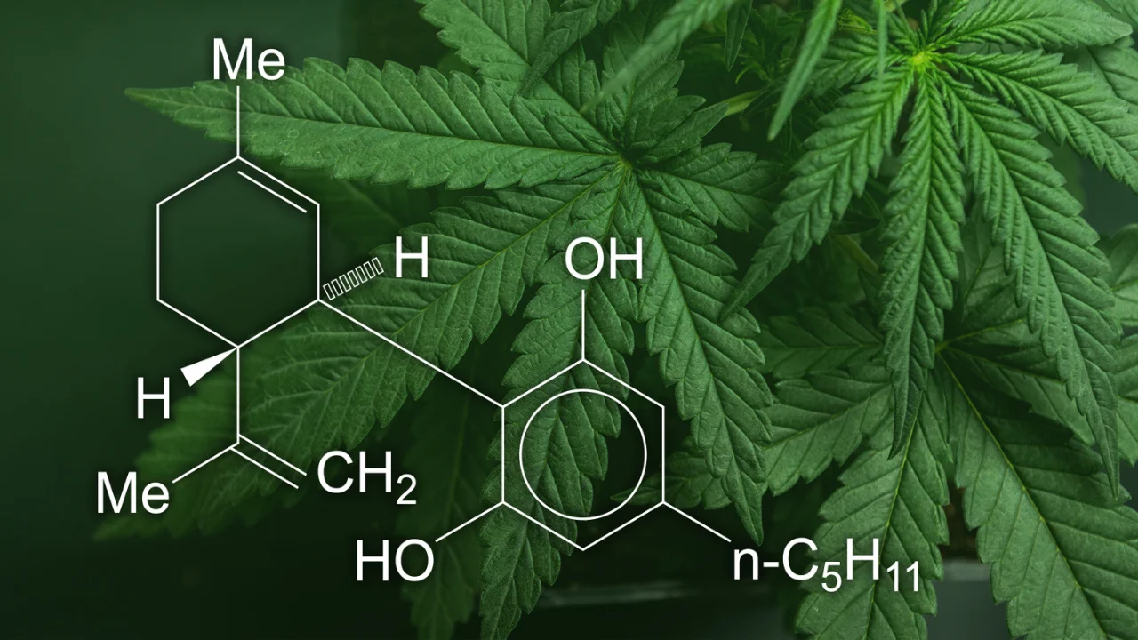 Cannabidiol (CBD) for anxiety relief